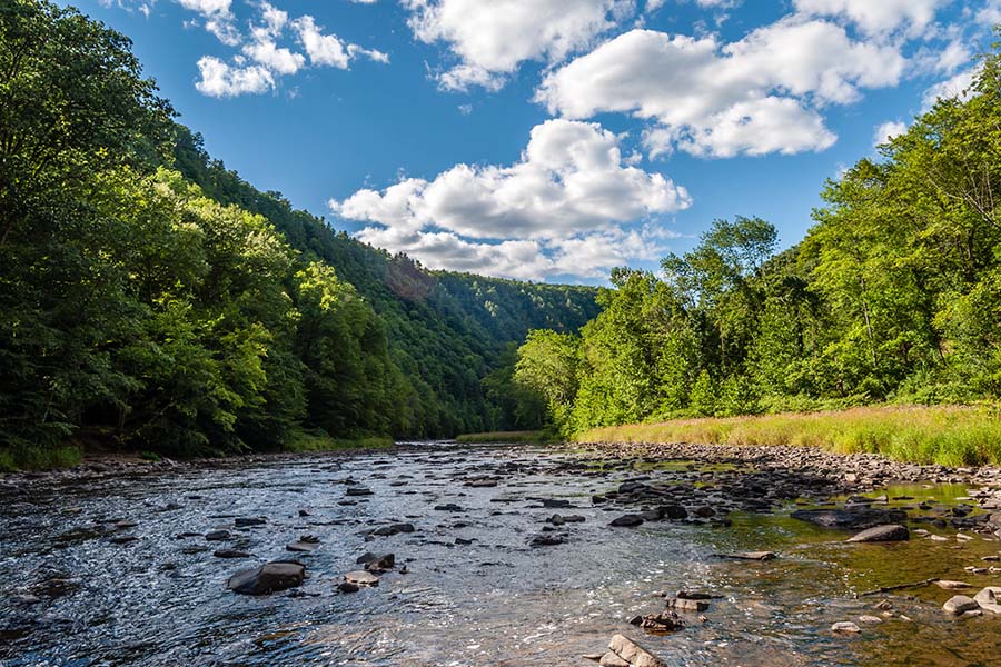 Contact - View of Clear Creek Surrounded by Green Trees Against a Bright Blue Cloudy Sky in Pennsylvania